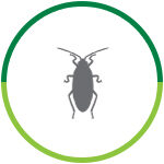 service.1